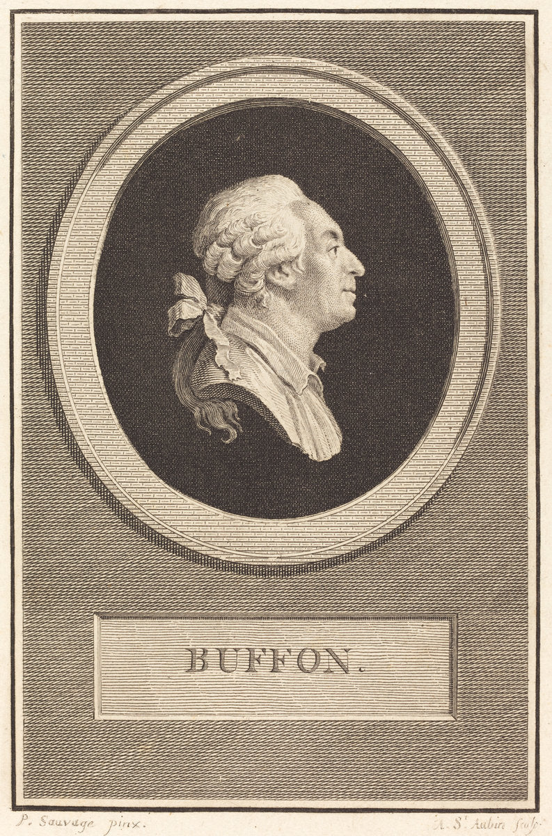 Buffon by Augustin de Saint-Aubin after Piat Joseph Sauvage (French, 1736 - 1807), 16X12"(A3)Poster Print