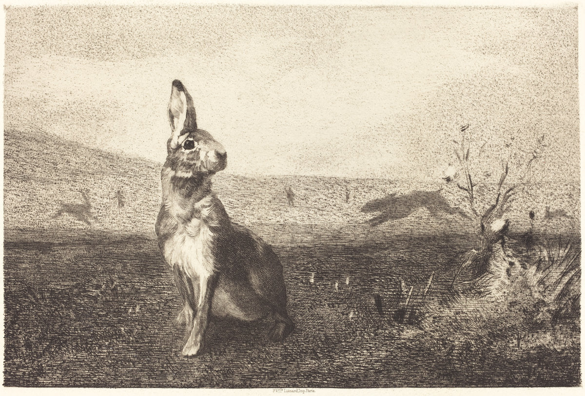 The Hare by Félix Bracquemond after Albert de Balleroy (French, 1833 - 1914), 16X12"(A3)Poster Print
