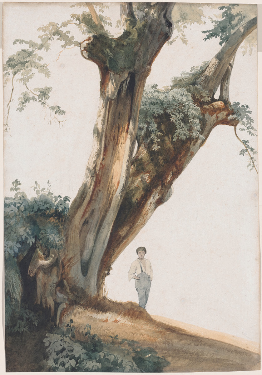 Ancient Trees in the Roman Campagna by Giovanni Costa (Italian, 1826 - 1903), 16X12"(A3)Poster Print