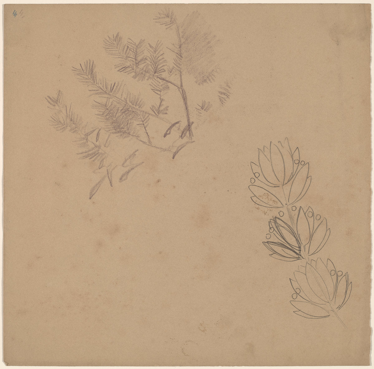 Study for a Border Design with a Sketch of a Tree by Charles Sprague Pearce (American, 1851 - 1914), 16X12"(A3)Poster Print