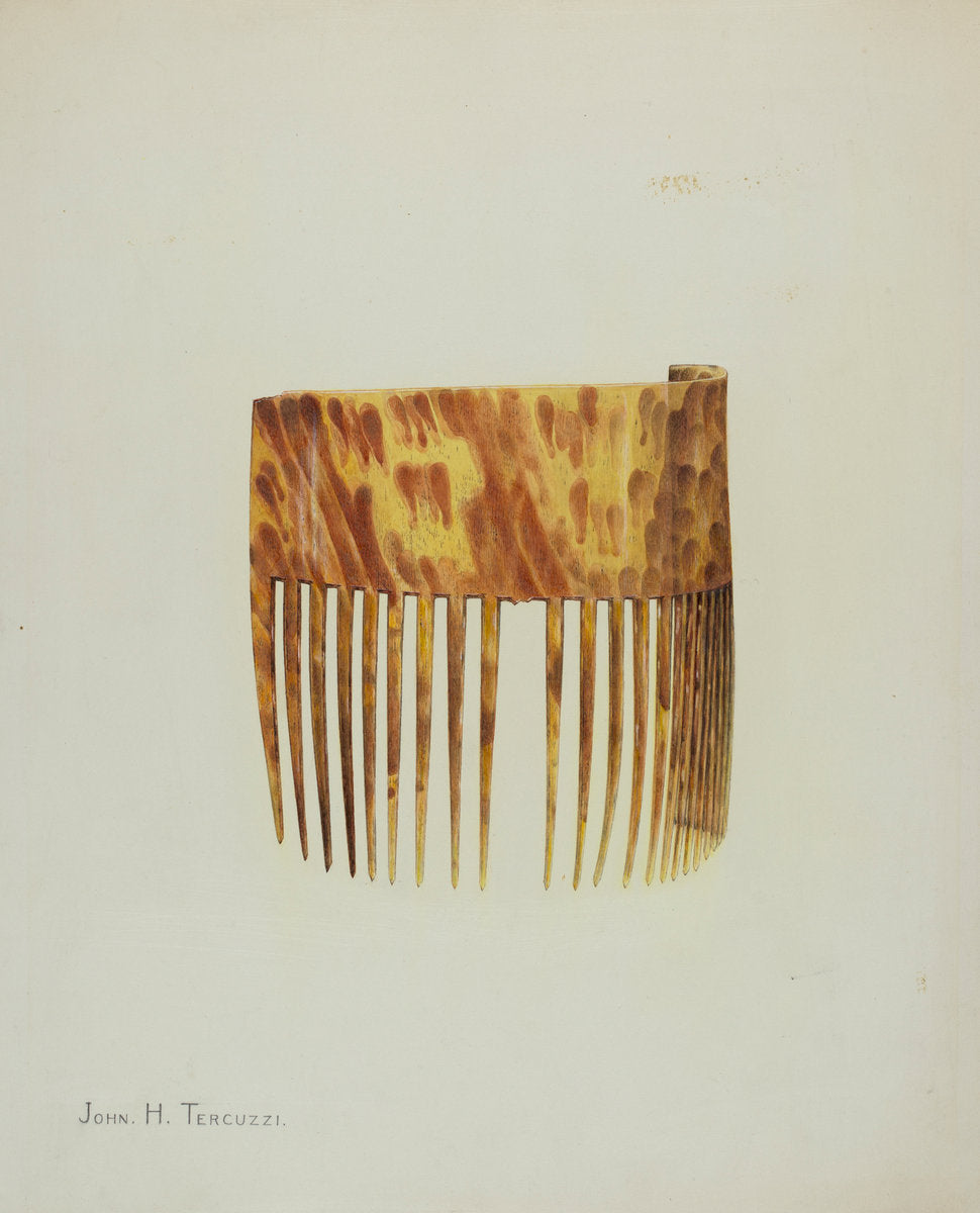 Comb by John H. Tercuzzi (American, active c. 1935), 16X12"(A3)Poster Print