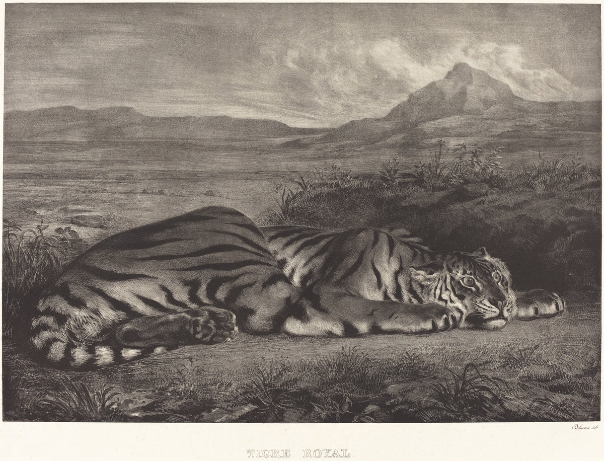 Royal Tiger (Tigre Royal) by Eugène Delacroix (French, 1798 - 1863), 16X12"(A3)Poster Print