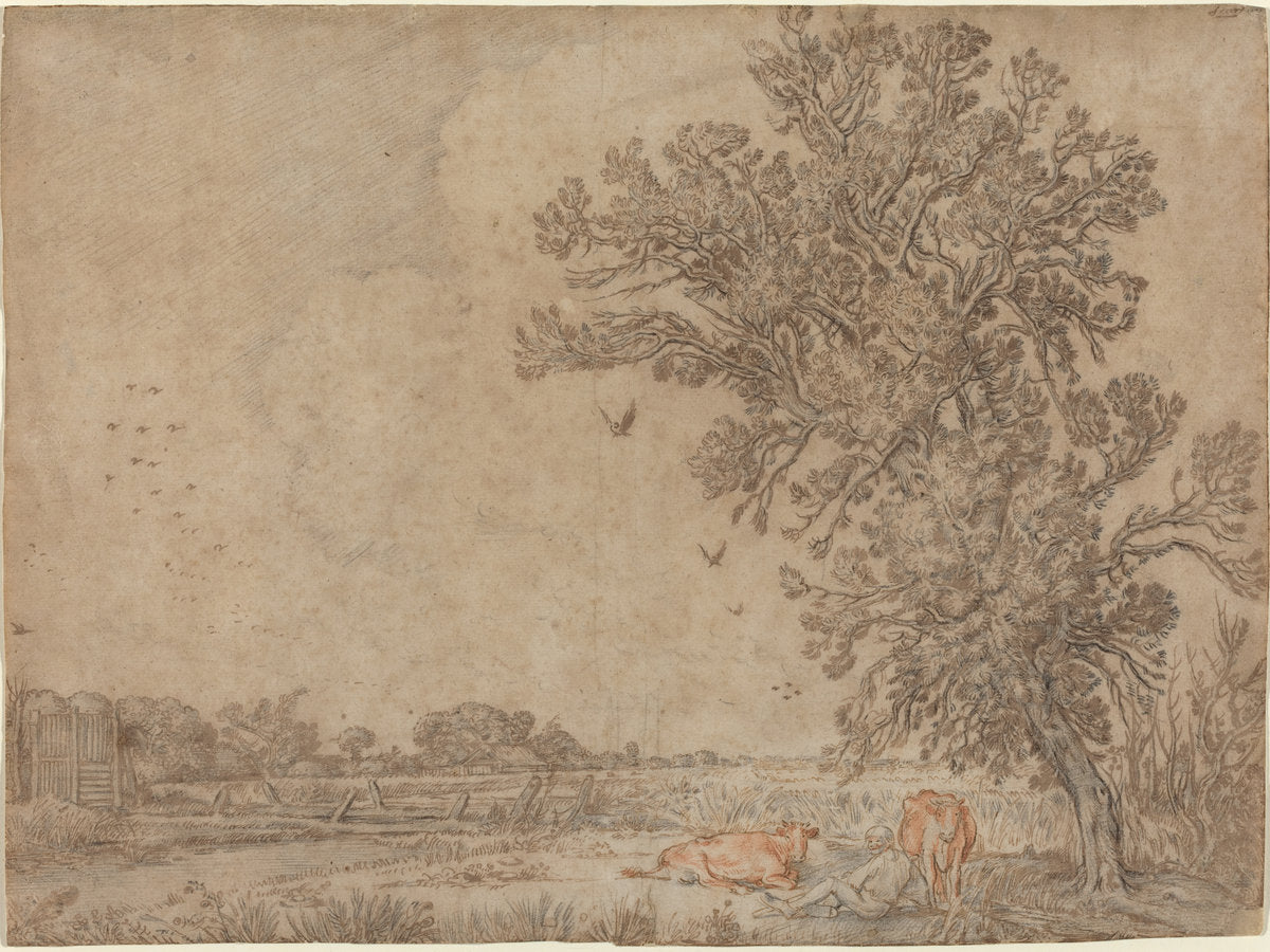 Meadow with a Shepherd and Cows by Willem Buytewech (Dutch, 1591/1592 - 1624), 16X12"(A3)Poster Print