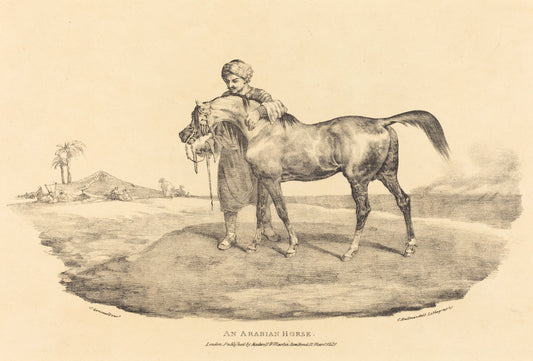 An Arabian Horse by Théodore Gericault (French, 1791 - 1824), 16X12"(A3)Poster Print