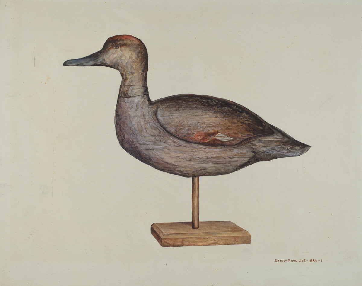 Gadwall Decoy by Samuel W. Ford (American, active c. 1935), 16X12"(A3)Poster Print