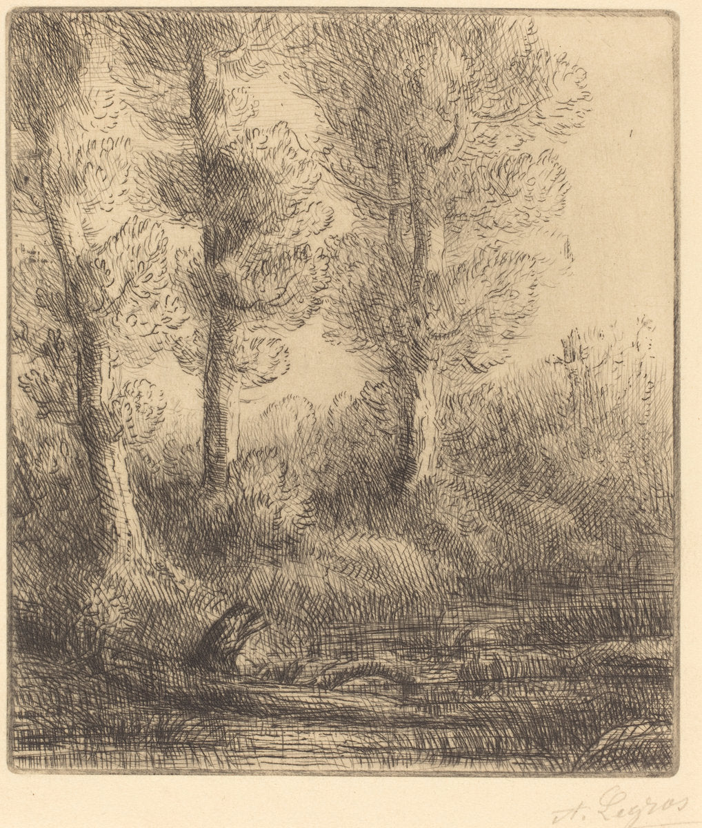 Banks of the Saint-Pre (Rive du Saint-Pre) by Alphonse Legros (French, 1837 - 1911), 16X12"(A3)Poster Print