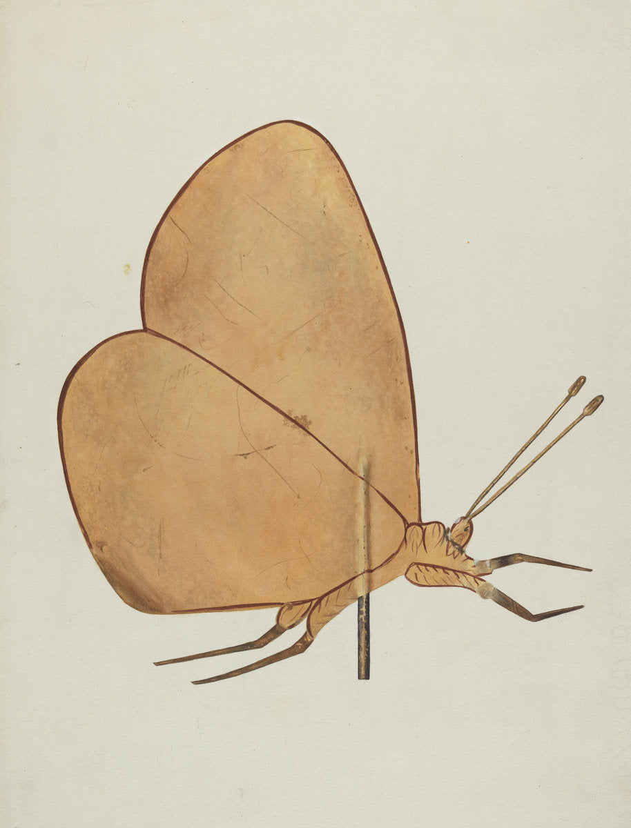Butterfly Weather Vane by Hazel Hyde (American, active c. 1935), 16X12"(A3)Poster Print