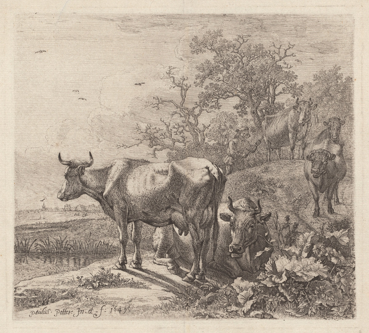 The Cowherd by Paulus Potter (Dutch, 1625 - 1654), 16X12"(A3)Poster Print