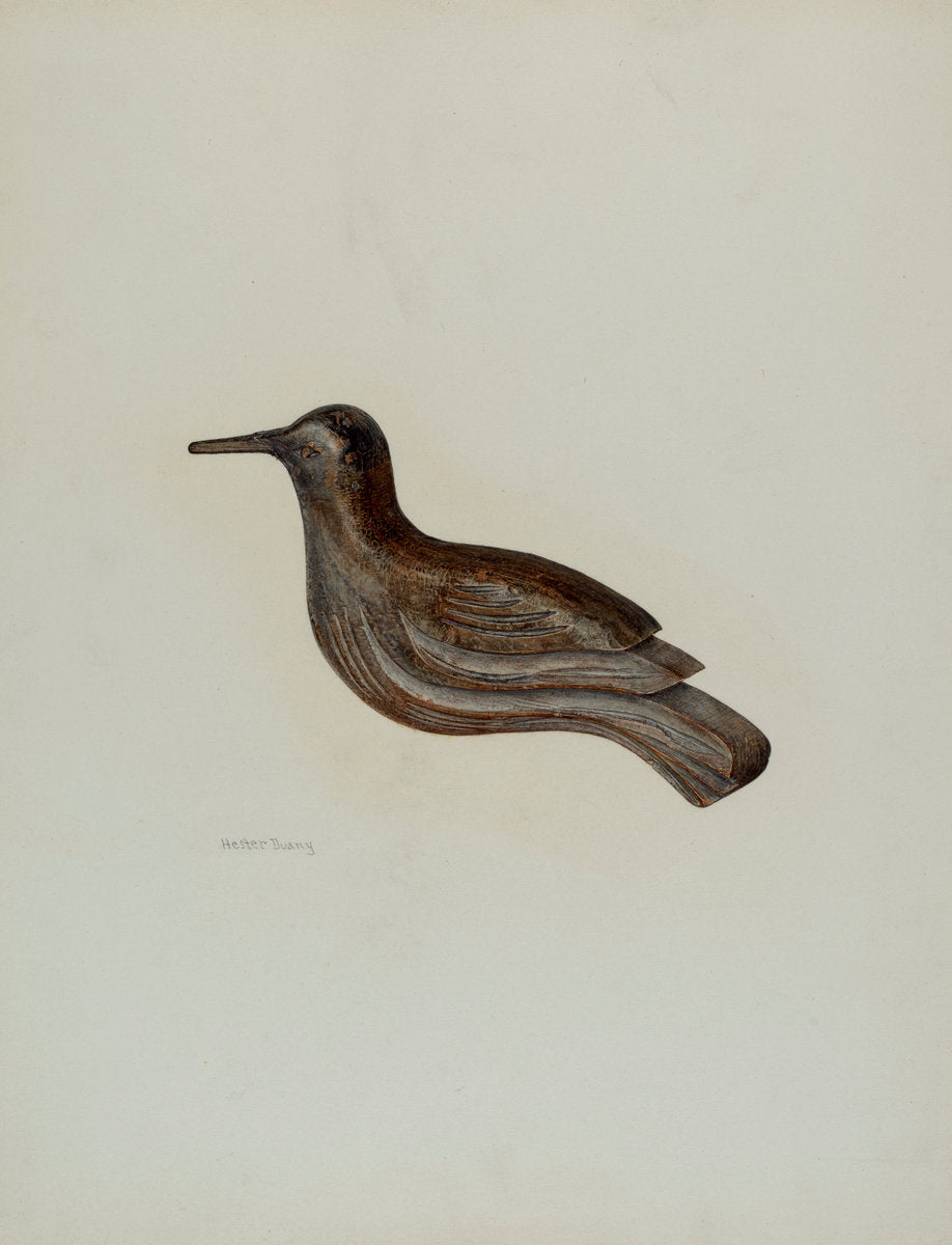 Snipe by Hester Duany (American, 1891 - 1964), 16X12"(A3)Poster Print