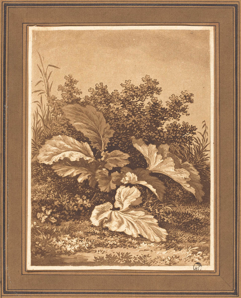 A Study of Leaves by Christian August Günther (German, 1759 - 1824), 16X12"(A3)Poster Print