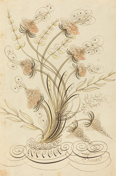 Calligraphic Flowers by Jean-Joseph Bernard called Bernard de Paris (French, 1740 - 1809), 16X12"(A3)Poster Print