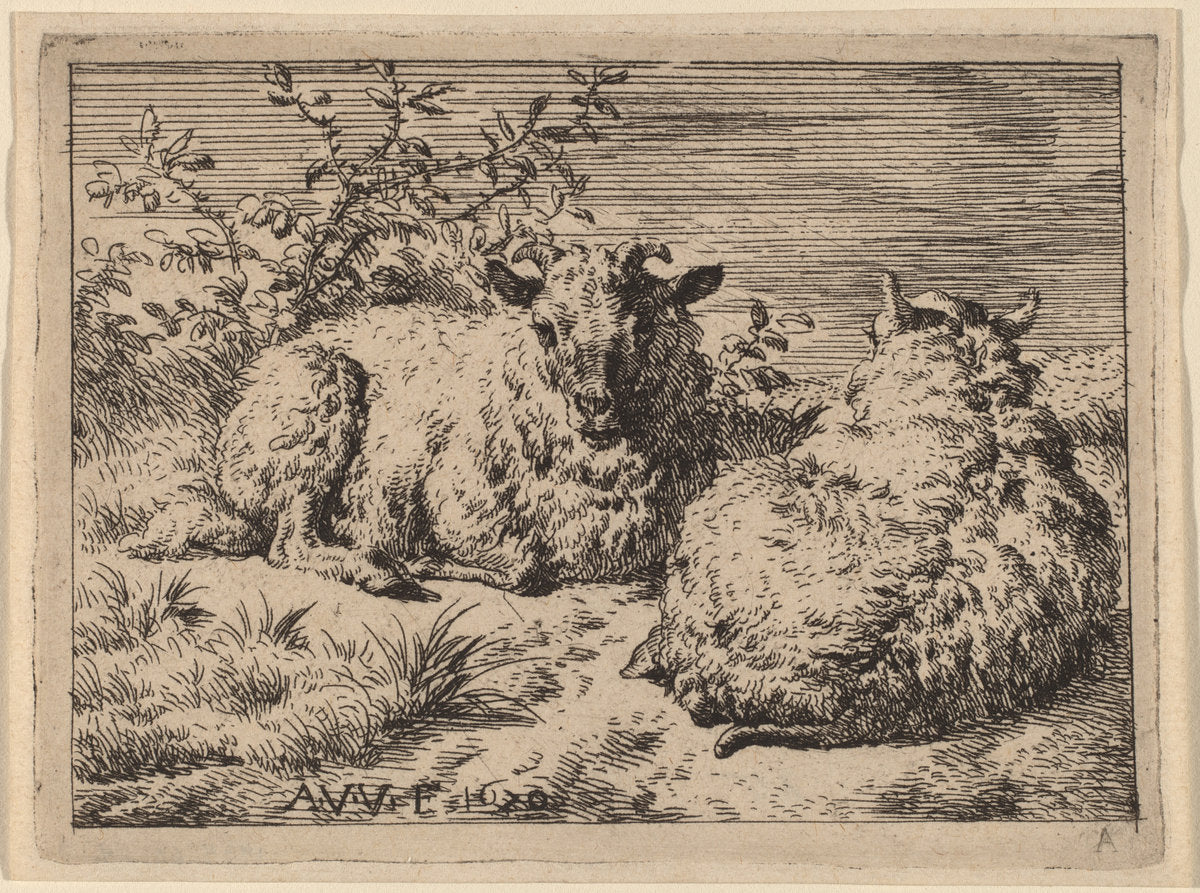 Two Recumbent Sheep by Adriaen van de Velde (Dutch, 1636 - 1672), 16X12"(A3)Poster Print