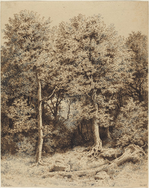 A Copse of Trees by Karl Theodor Reiffenstein (German, 1820 - 1893), 16X12"(A3)Poster Print