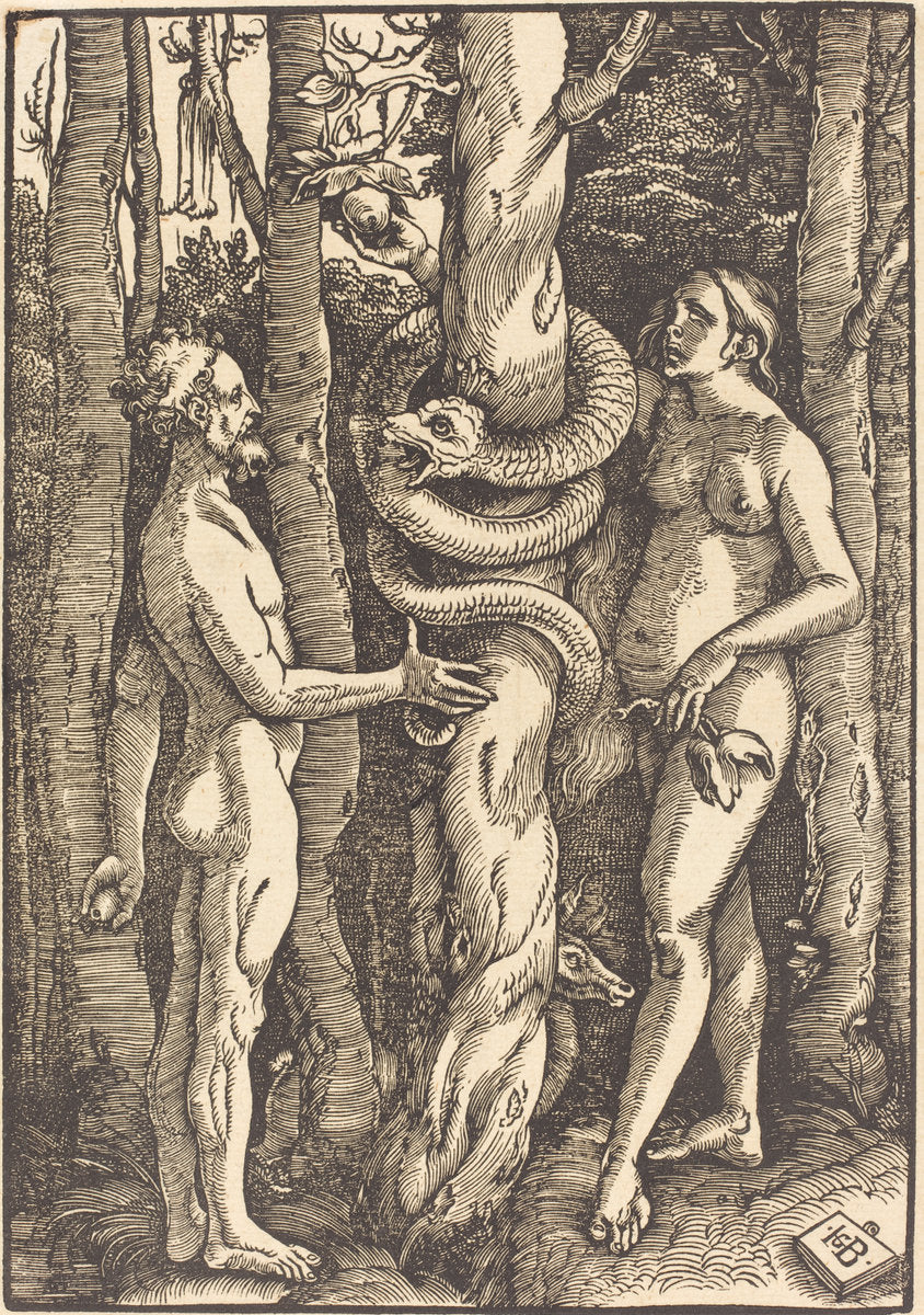 Adam and Eve with Serpent by Hans Baldung Grien (German, 1484/1485 - 1545), 16X12"(A3)Poster Print