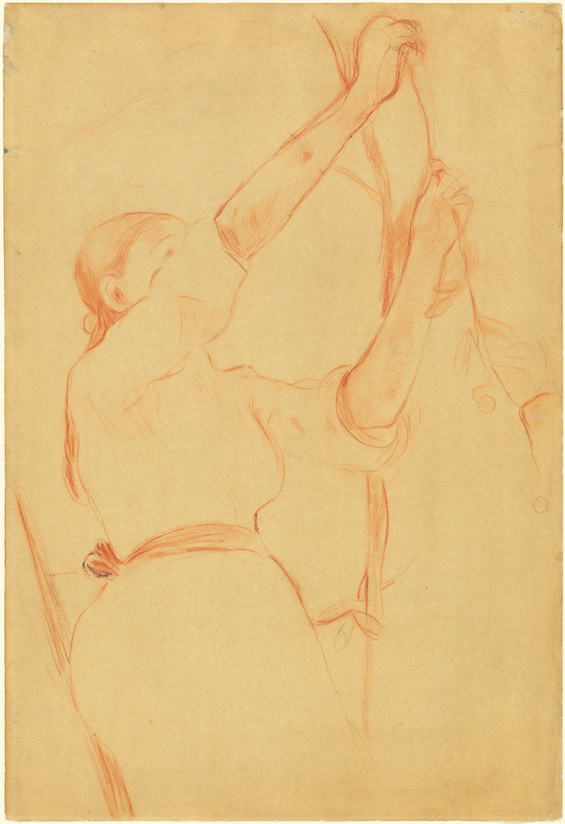 Girl Picking Cherries by Berthe Morisot (French, 1841 - 1895), 16X12"(A3)Poster Print