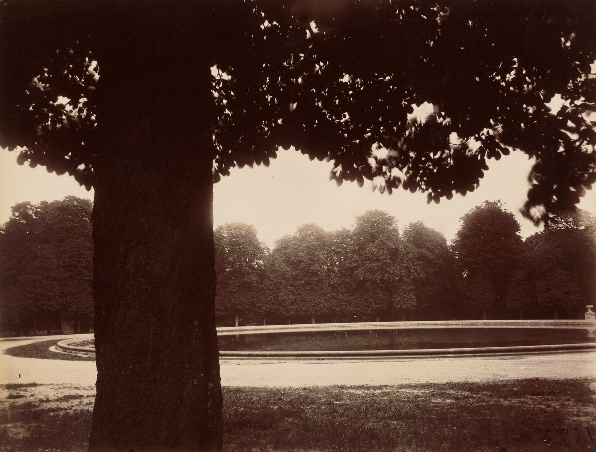 Saint-Cloud by Eugène Atget (French, 1857 - 1927), 16X12"(A3)Poster Print