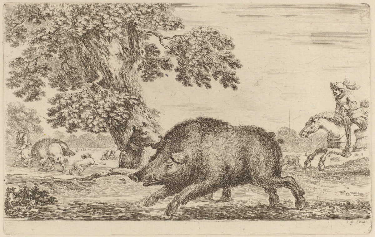Boar Running to the Left by Stefano Della Bella (Florentine, 1610 - 1664), 16X12"(A3)Poster Print