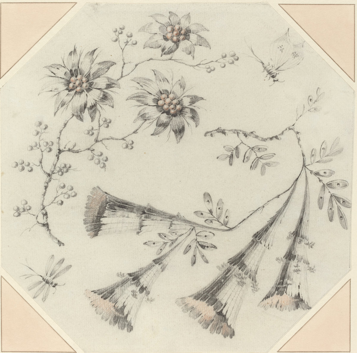 Trumpet Flowers and Daisies by Jean-Baptiste Pillement (French, 1728 - 1808), 16X12"(A3)Poster Print