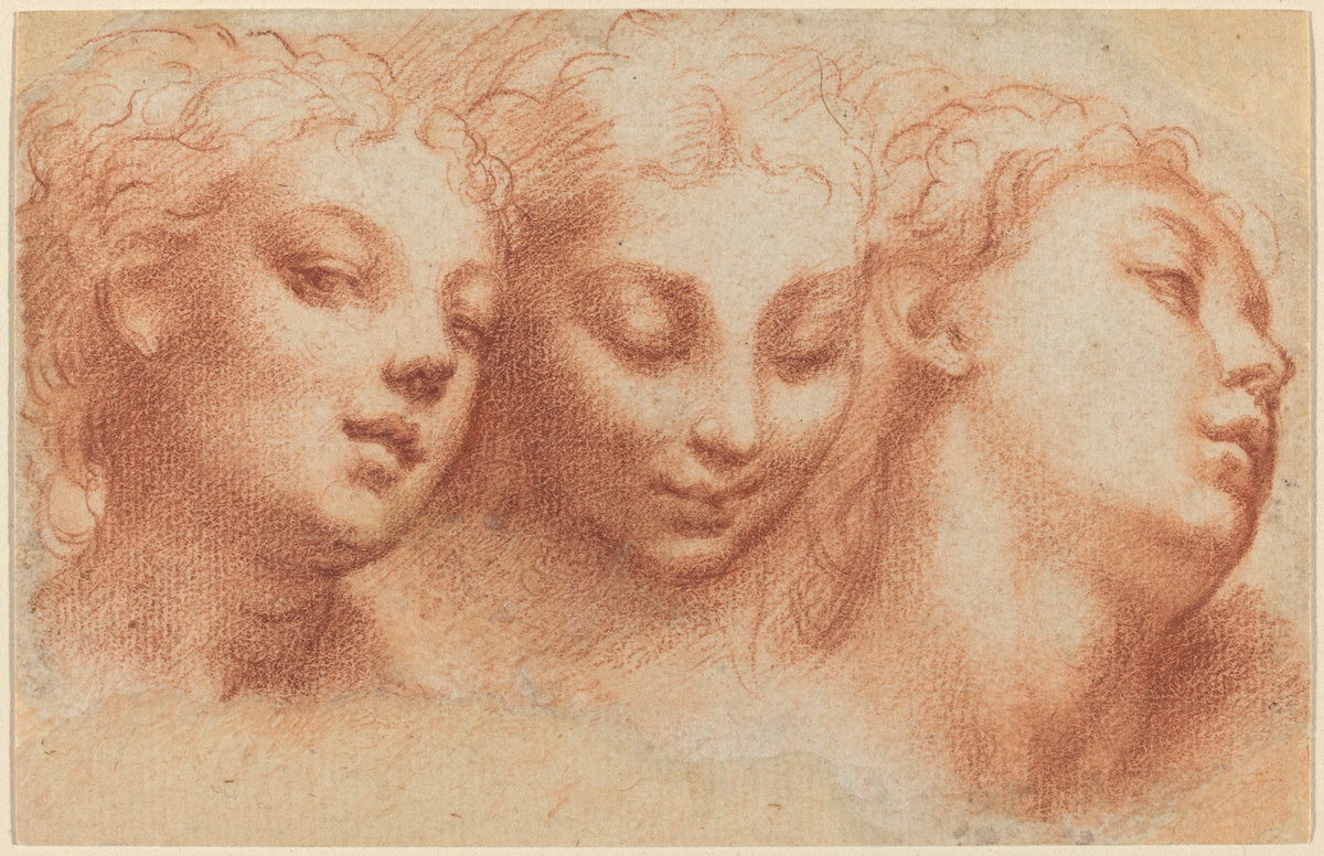 Three Feminine Heads by Parmigianino (Parmese, 1503 - 1540), 16X12"(A3)Poster Print