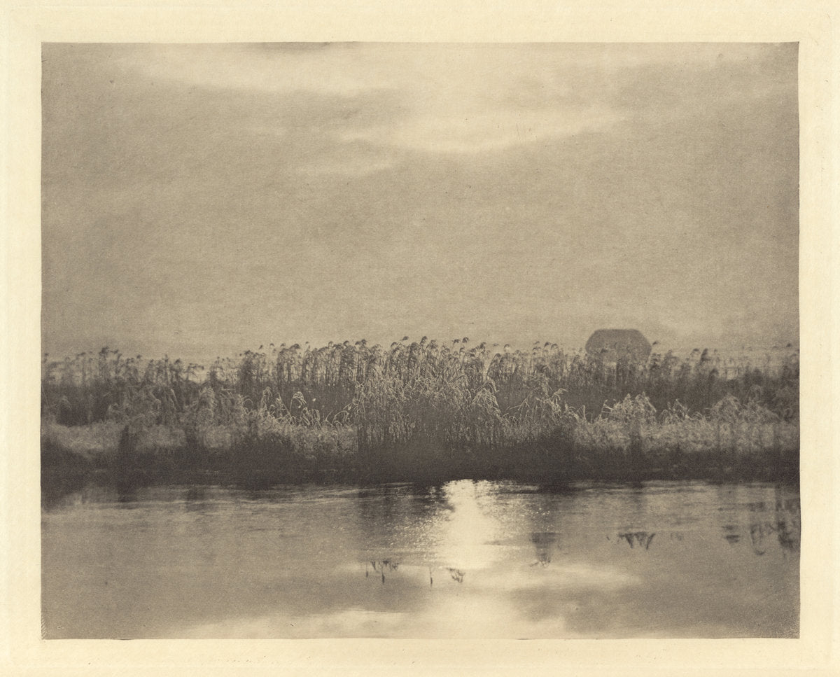 Rime Crystals by Peter Henry Emerson (British, born Cuba, 1856 - 1936), 16X12"(A3)Poster Print