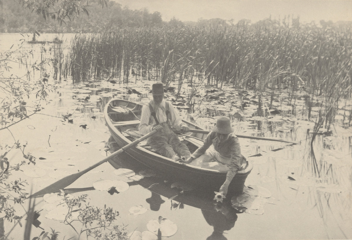 Gathering Water-Lilies by Peter Henry Emerson (British, born Cuba, 1856 - 1936), 16X12"(A3)Poster Print