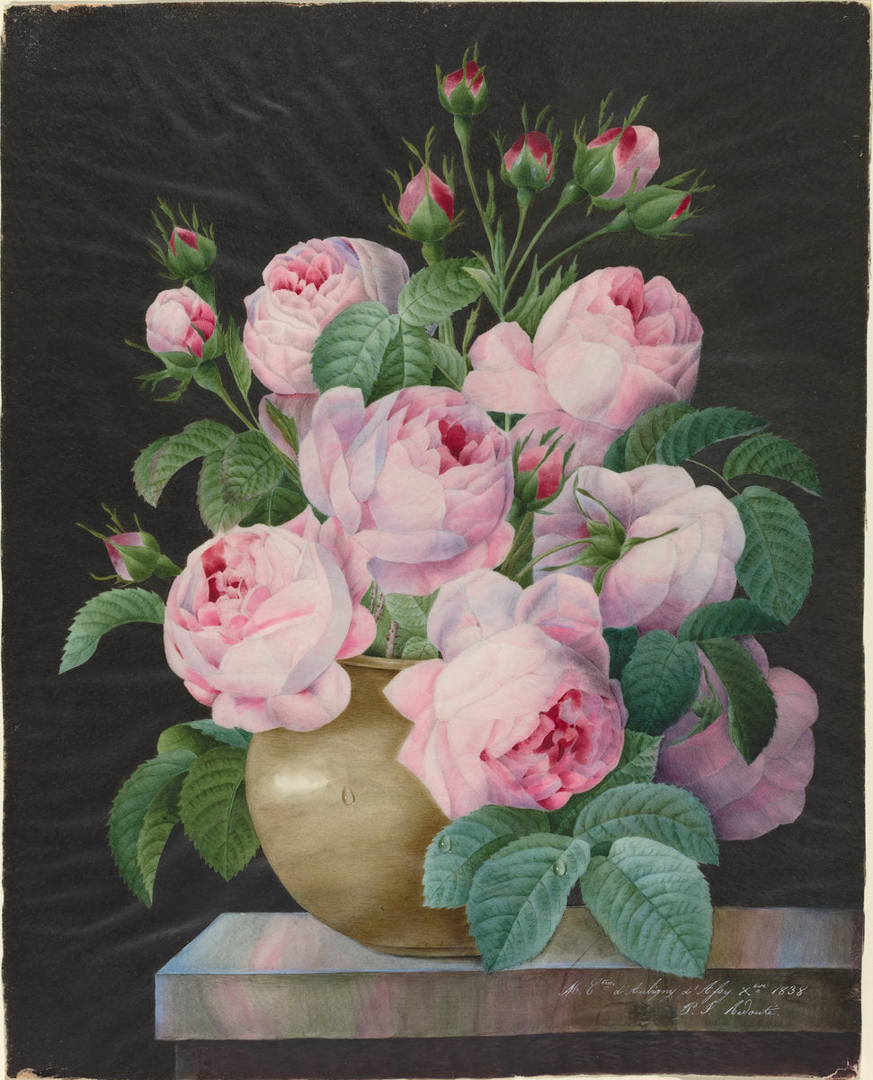 Pink Roses in a Vase by Attributed to Pierre Joseph Redouté (French, 1759 - 1840), 16X12"(A3)Poster Print