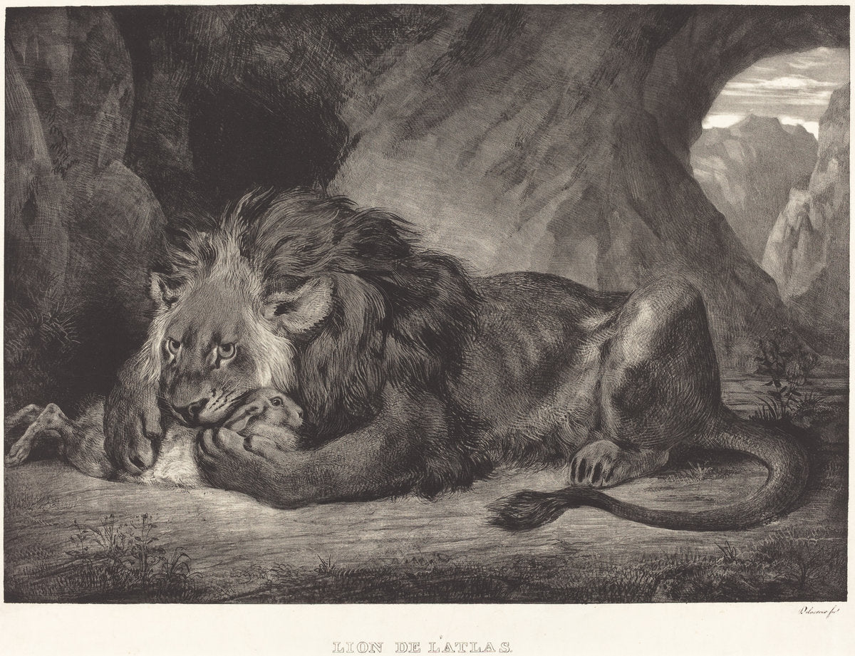 Lion of the Atlas Mountains (Lion de l'Atlas) by Eugène Delacroix (French, 1798 - 1863), 16X12"(A3)Poster Print