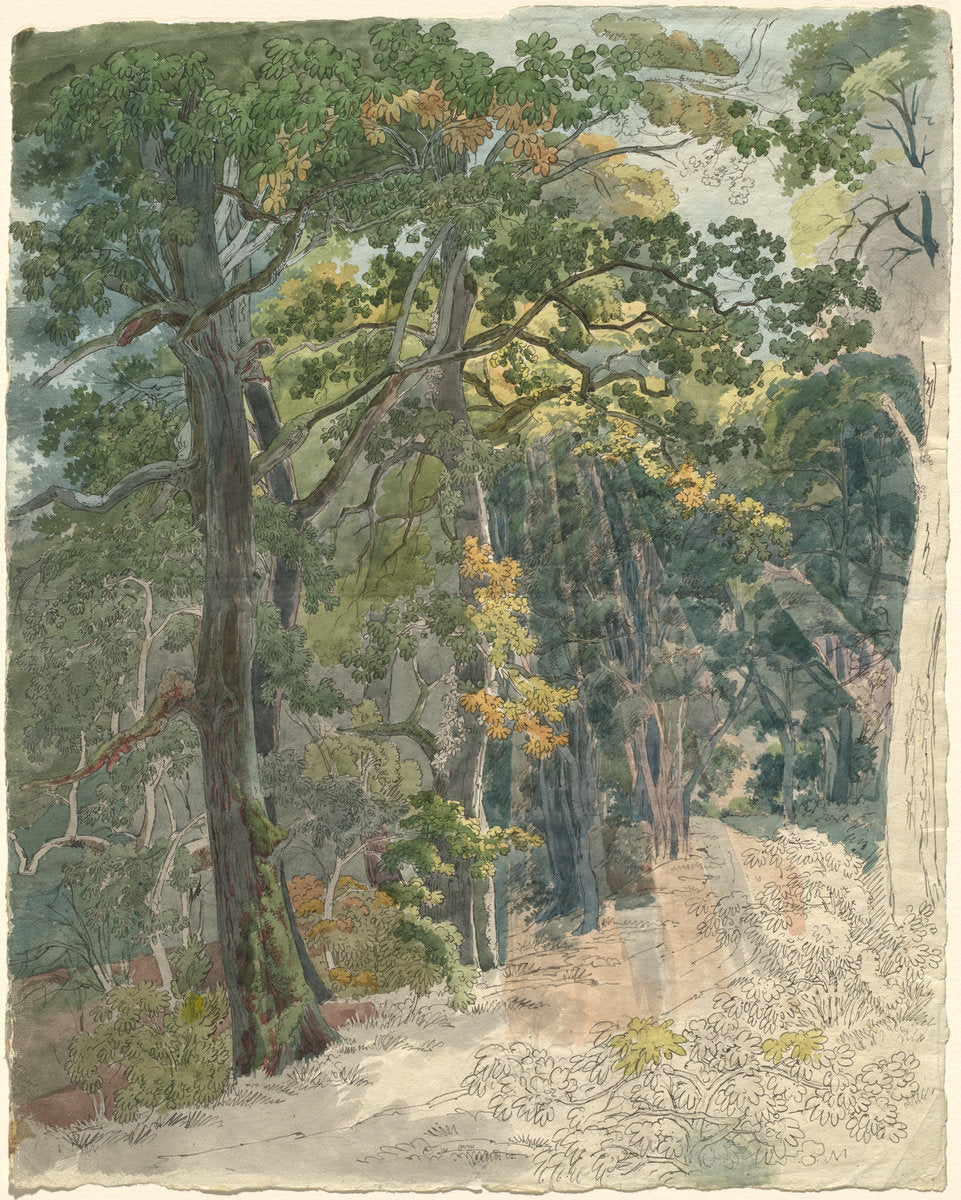 Rays of Sunlight Striking a Woodland Path by Friedrich Salathé (Swiss, 1793 - 1858), 16X12"(A3)Poster Print