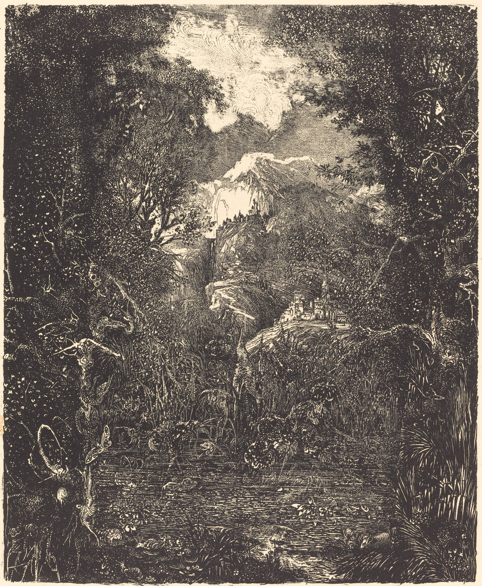 The Towns Behind the Marsh by Rodolphe Bresdin (French, 1822 - 1885), 16X12"(A3)Poster Print