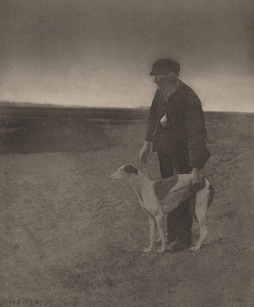 The Poacher-A Hare in View by Peter Henry Emerson (British, 1856 - 1936), 16X12"(A3)Poster Print
