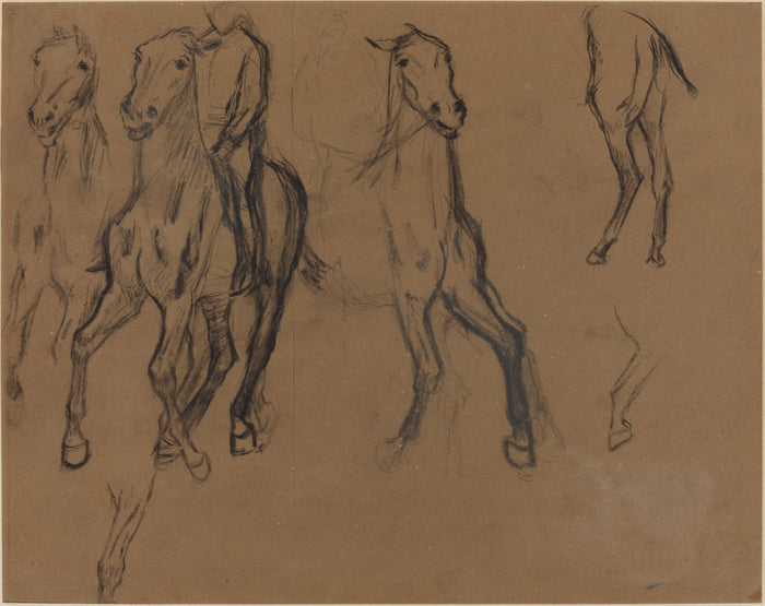 Study of Horses by Edgar Degas (French, 1834 - 1917), 16X12