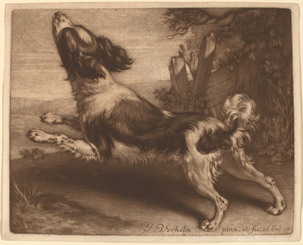 A Spaniel Jumping by Jan Verkolje I (Dutch, 1650 - 1693), 16X12"(A3)Poster Print