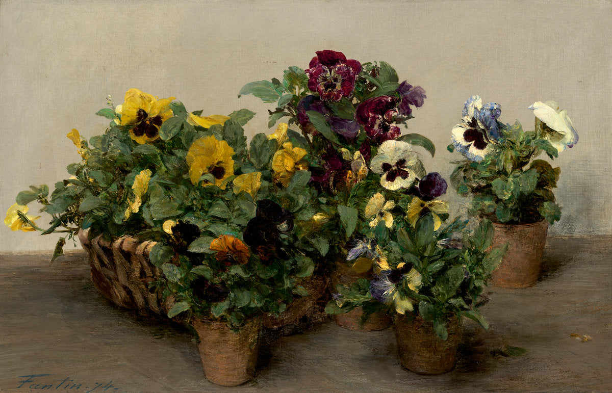Pansies by Henri Fantin-Latour (French, 1836 - 1904), 16X12"(A3)Poster Print