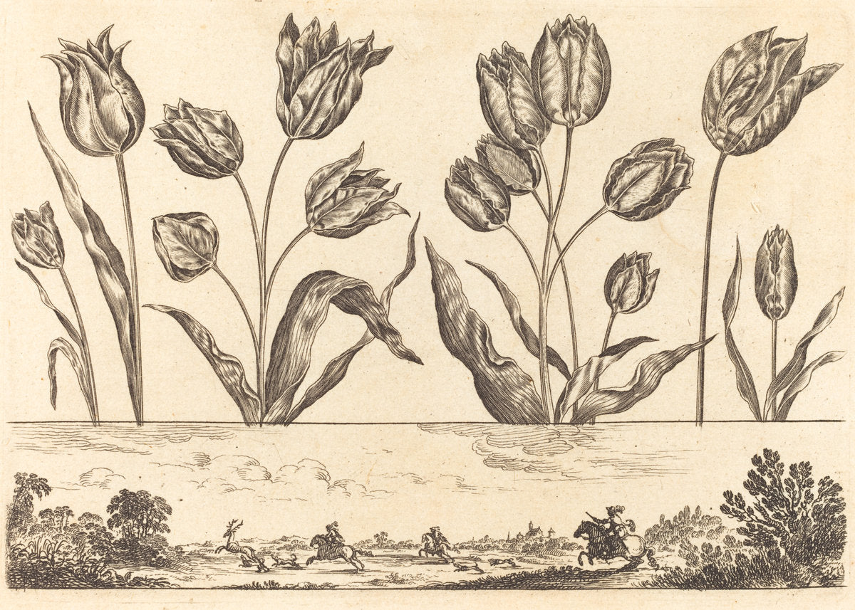 Flower Print no.12 by Nicolas Cochin after Balthasar Moncornet (French, 1610 - 1686), 16X12"(A3)Poster Print
