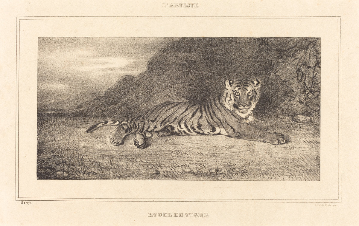 Study of a Tiger by Antoine-Louis Barye (French, 1795 - 1875), 16X12"(A3)Poster Print