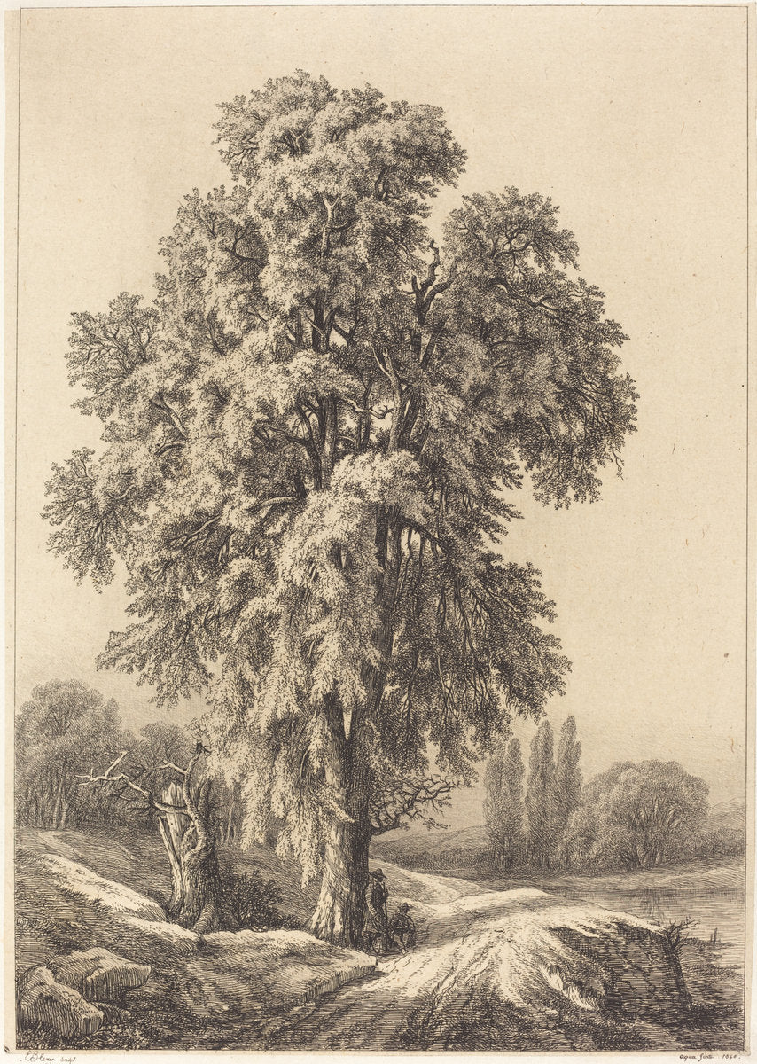The Elm Tree by Eugène Bléry (French, 1805 - 1887), 16X12"(A3)Poster Print