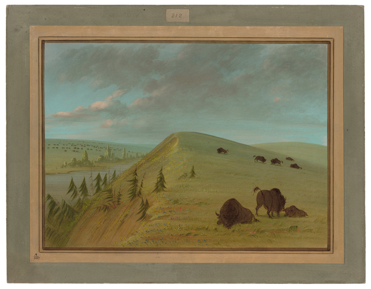 Cedar Bluffs by George Catlin (American, 1796 - 1872), 16X12"(A3)Poster Print