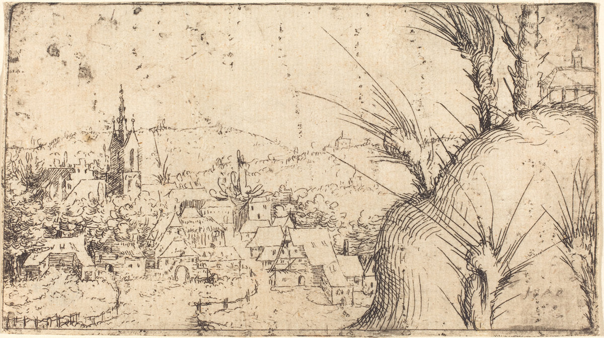 Landscape with a Town at Left by Augustin Hirschvogel (German, 1503 - 1553), 16X12"(A3)Poster Print