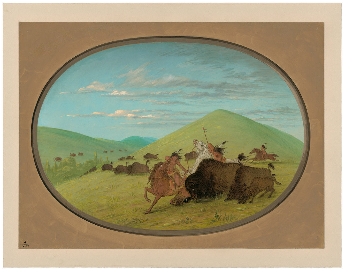 Buffalo Chase - Bulls Protecting the Calves by George Catlin (American, 1796 - 1872), 16X12"(A3)Poster Print
