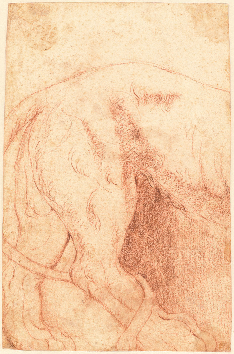 Fragment of a Lion Bas-Relief (verso) by Giovanni Battista Piranesi (Venetian, 1720 - 1778), 16X12"(A3)Poster Print