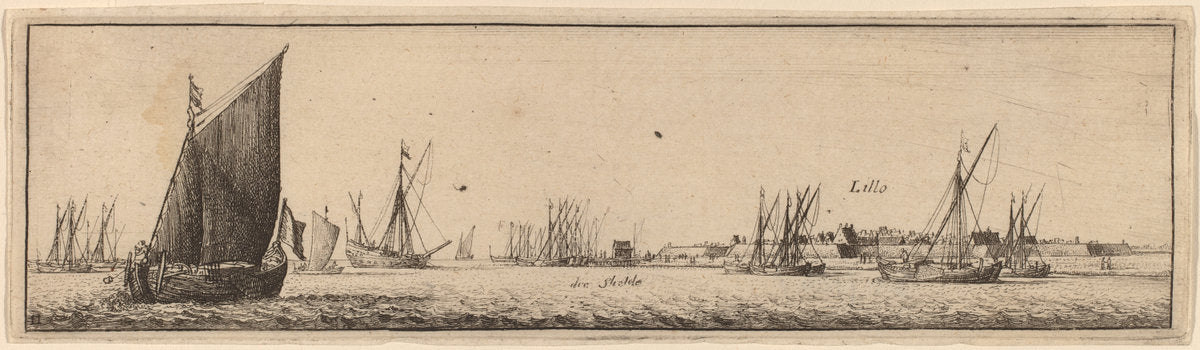 Lillo by Wenceslaus Hollar (Bohemian, 1607 - 1677), 16X12"(A3)Poster Print