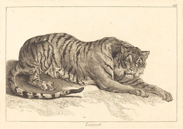 Leopart (Leopard or Tiger) by Jacques-Philippe Le Bas and Jean Eric Rehn after Jean-Baptiste Oudry (French, 1707 - 1783), 16X12"(A3)Poster Print