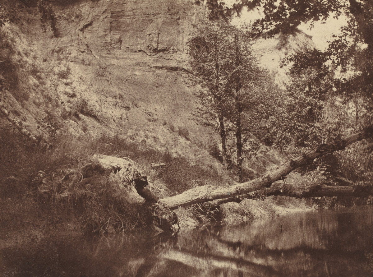 Riverbank by Franc Chauvassaignes (French, active 1850s), 16X12"(A3)Poster Print