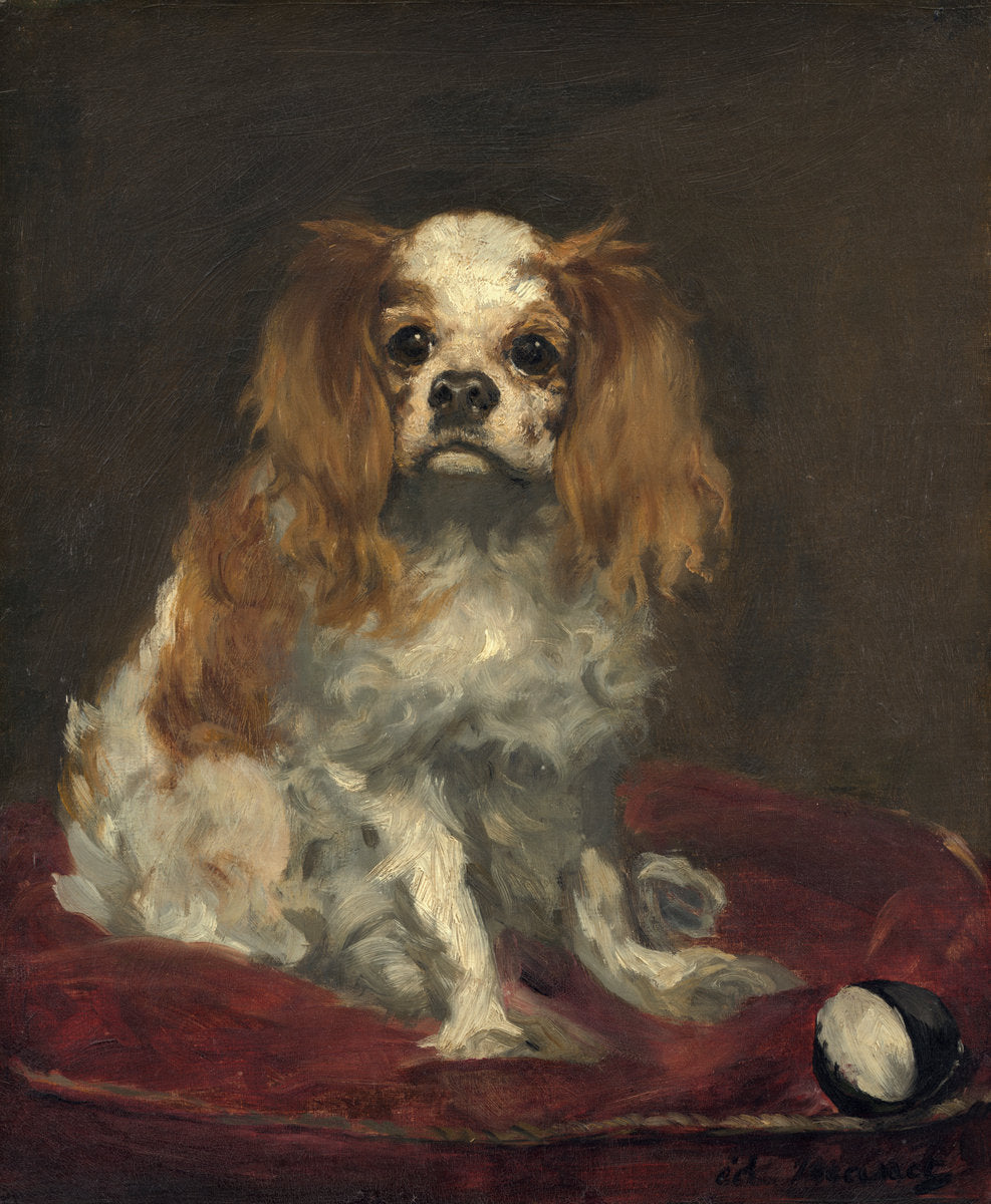 A King Charles Spaniel by Edouard Manet (French, 1832 - 1883), 16X12"(A3)Poster Print