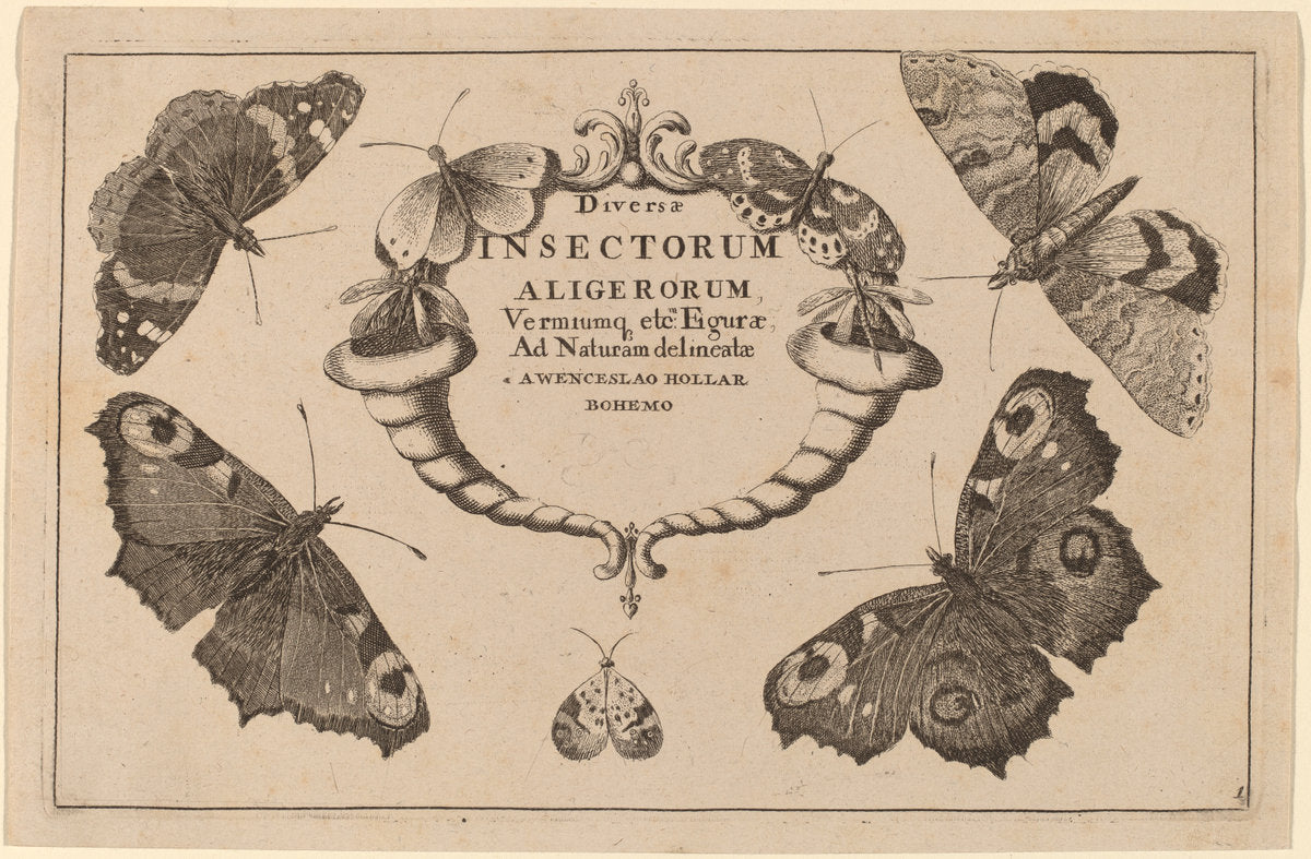 Title Page by Wenceslaus Hollar (Bohemian, 1607 - 1677), 16X12"(A3)Poster Print