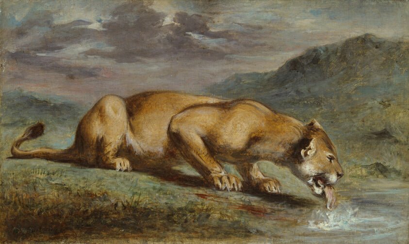 Wounded Lioness by Pierre Andrieu, 23x16"( A2 size) Poster Print
