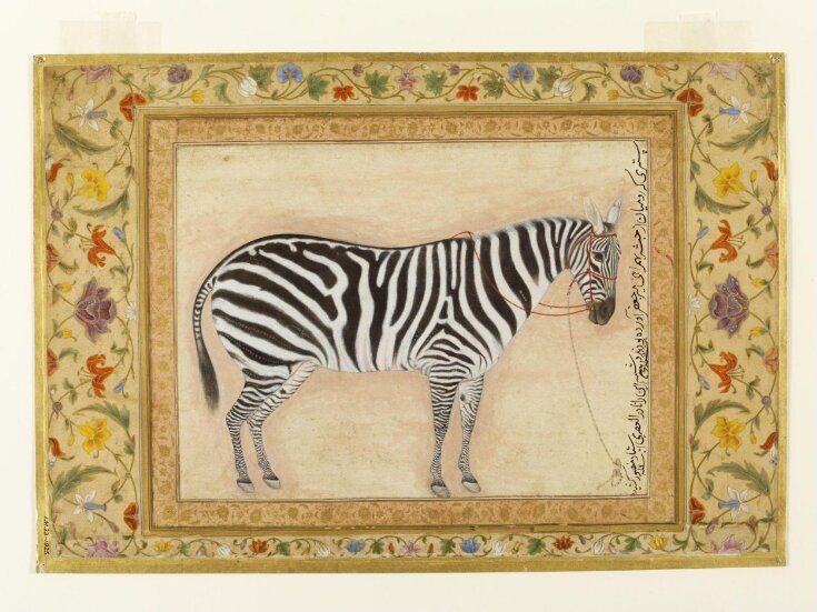 Zebra by Ustad Mansur, vintage art, modern poster print