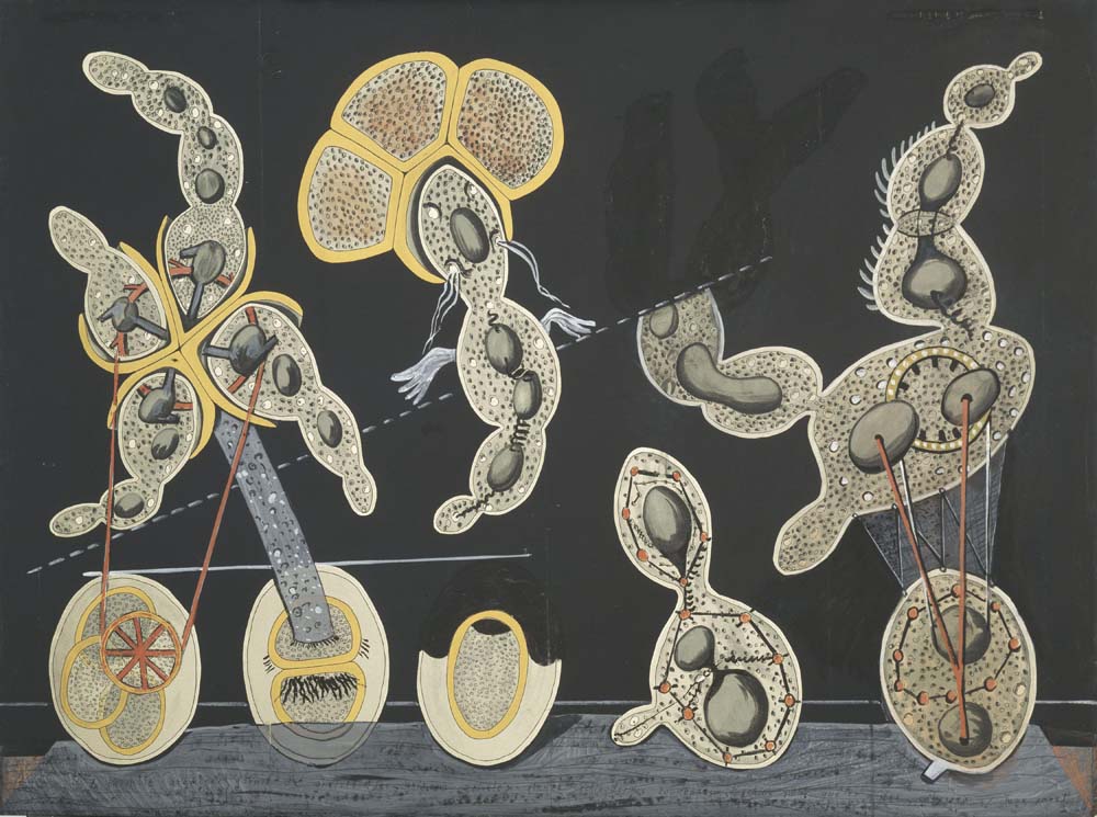 Max Ernst - The Gramineous Bicycle Garnished with Bells A2 poster print