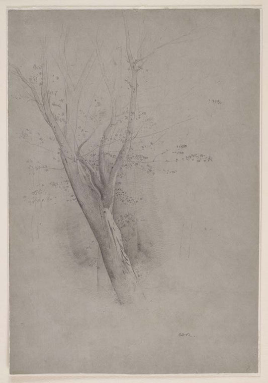 Odilon Redon - Trees, modernist poster print A2 poster print