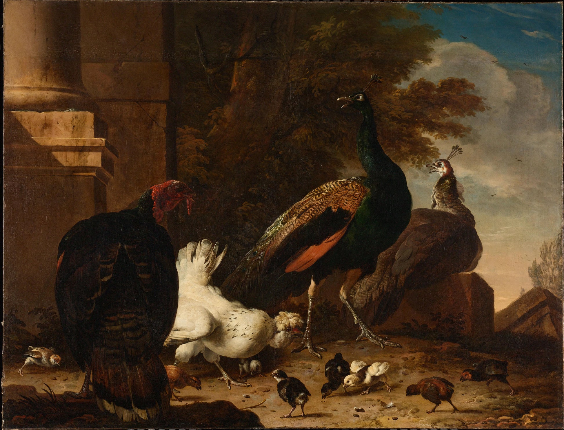 A Hen with Peacocks and a Turkey – Melchior d' Hondecoeter Vintage Animal Study Art Print | Wall Art Poster
